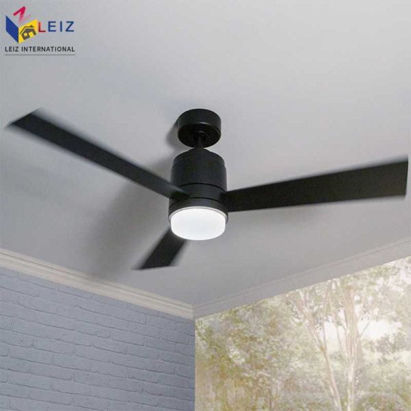 Ceiling fan with light