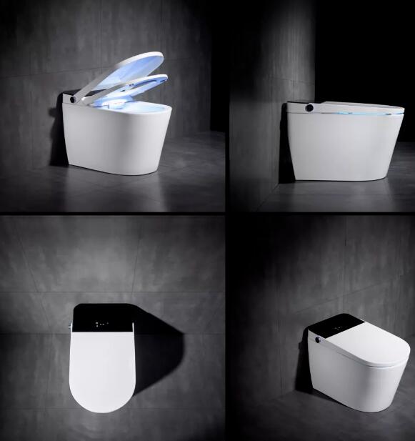 Smart Toilet